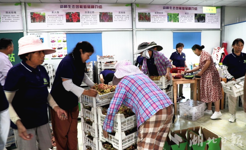我的银河网址登录